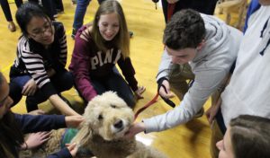 Therapy Dog Visit