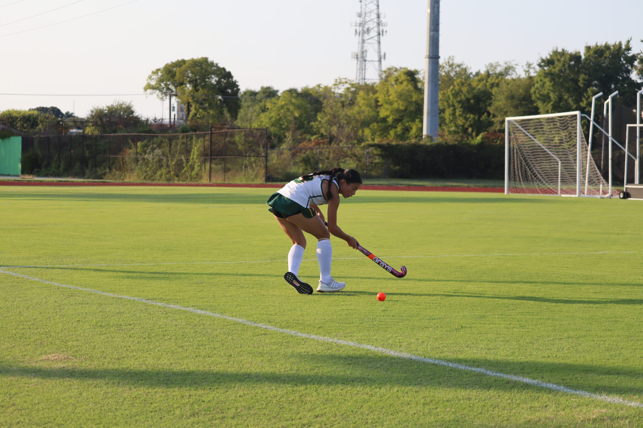 Field Hockey Player