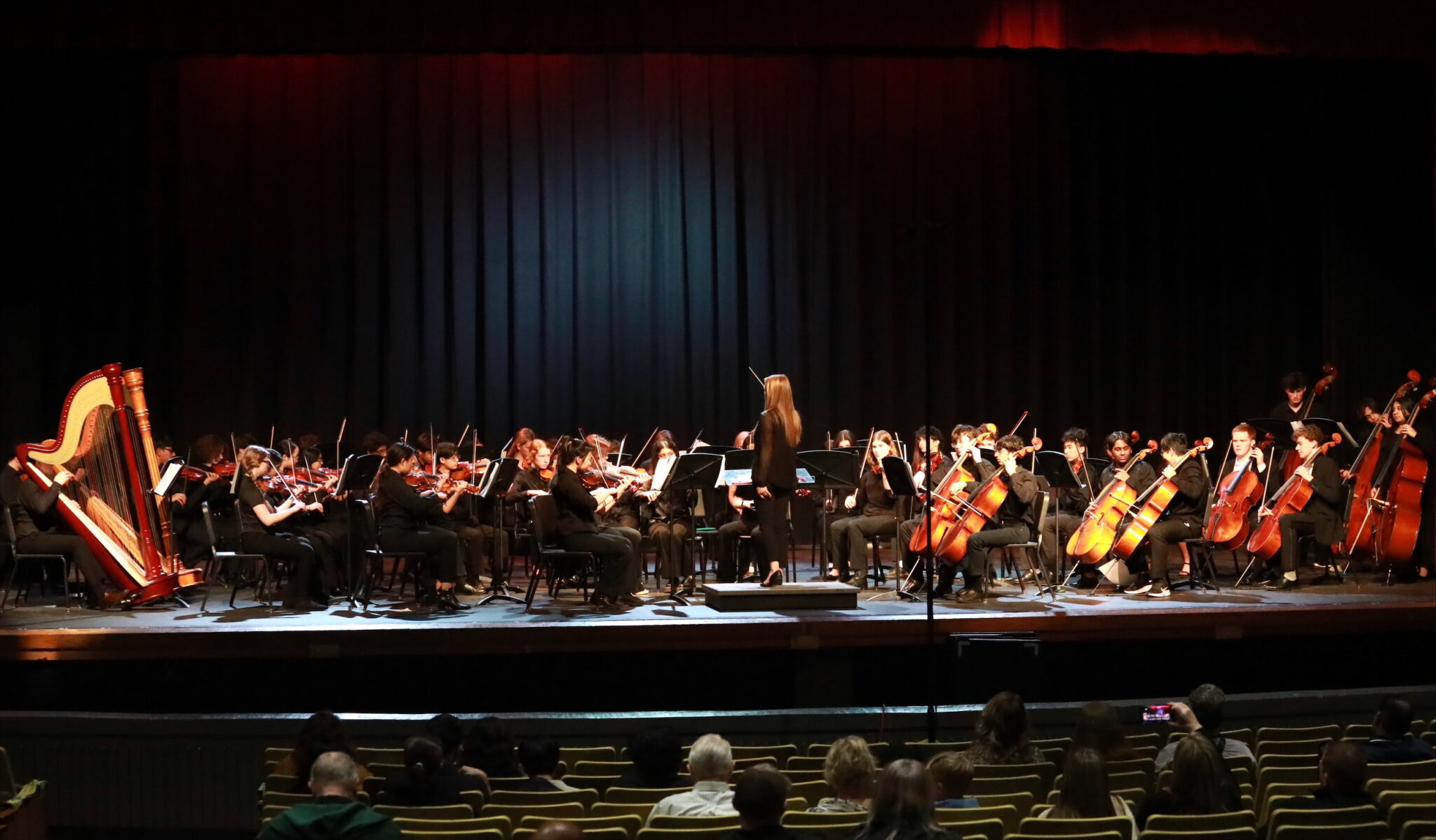 MLWGS orchestras earn perfect scores at their assessment