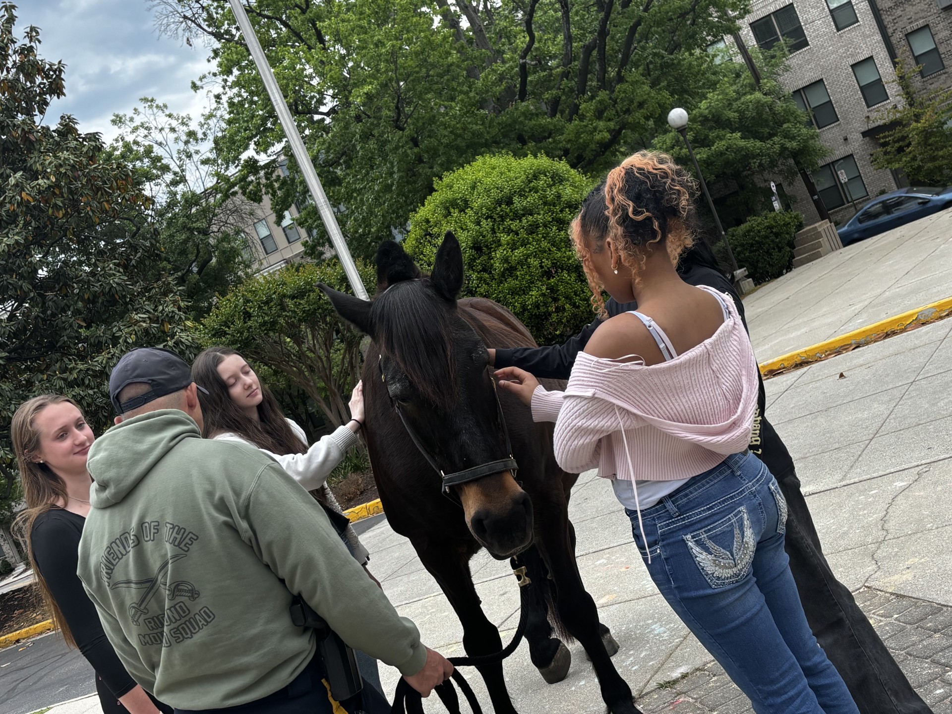 MLWGS Snapshot #35: Civic engagement